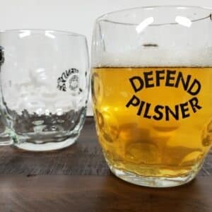 Defend Pilsner Mug